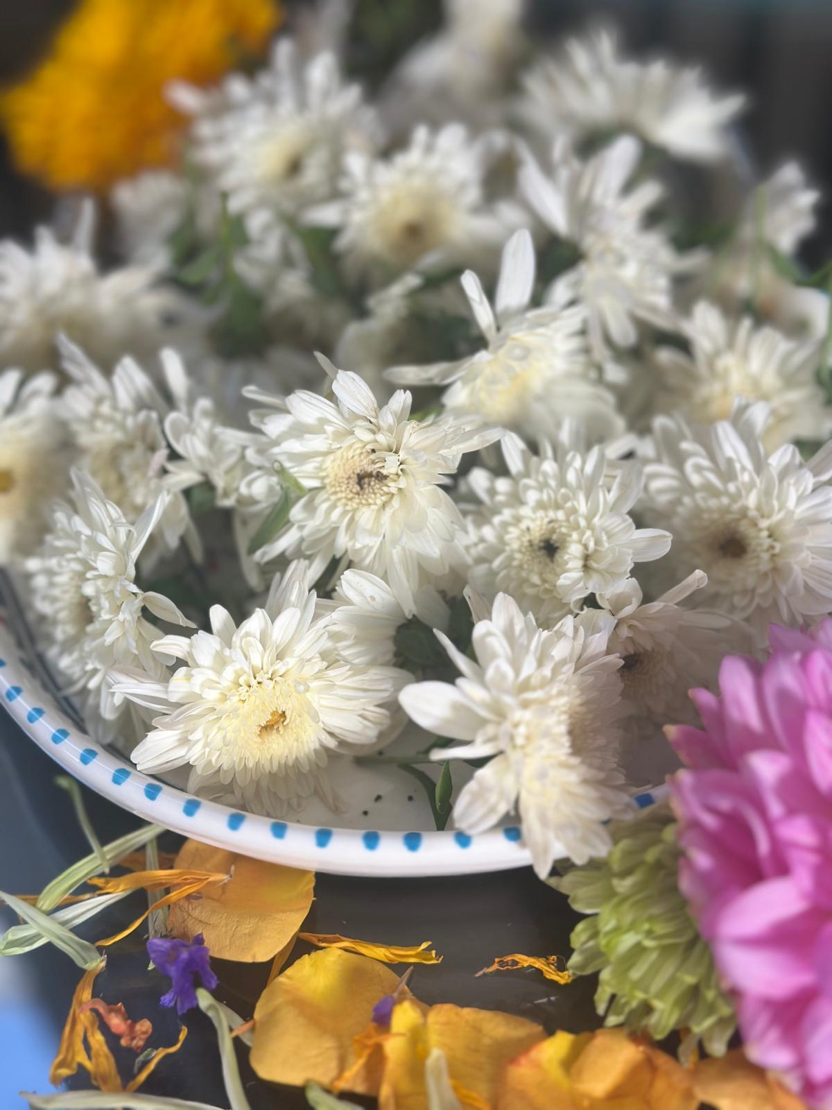 White Chrysanthemum ( Puja) - Image 2