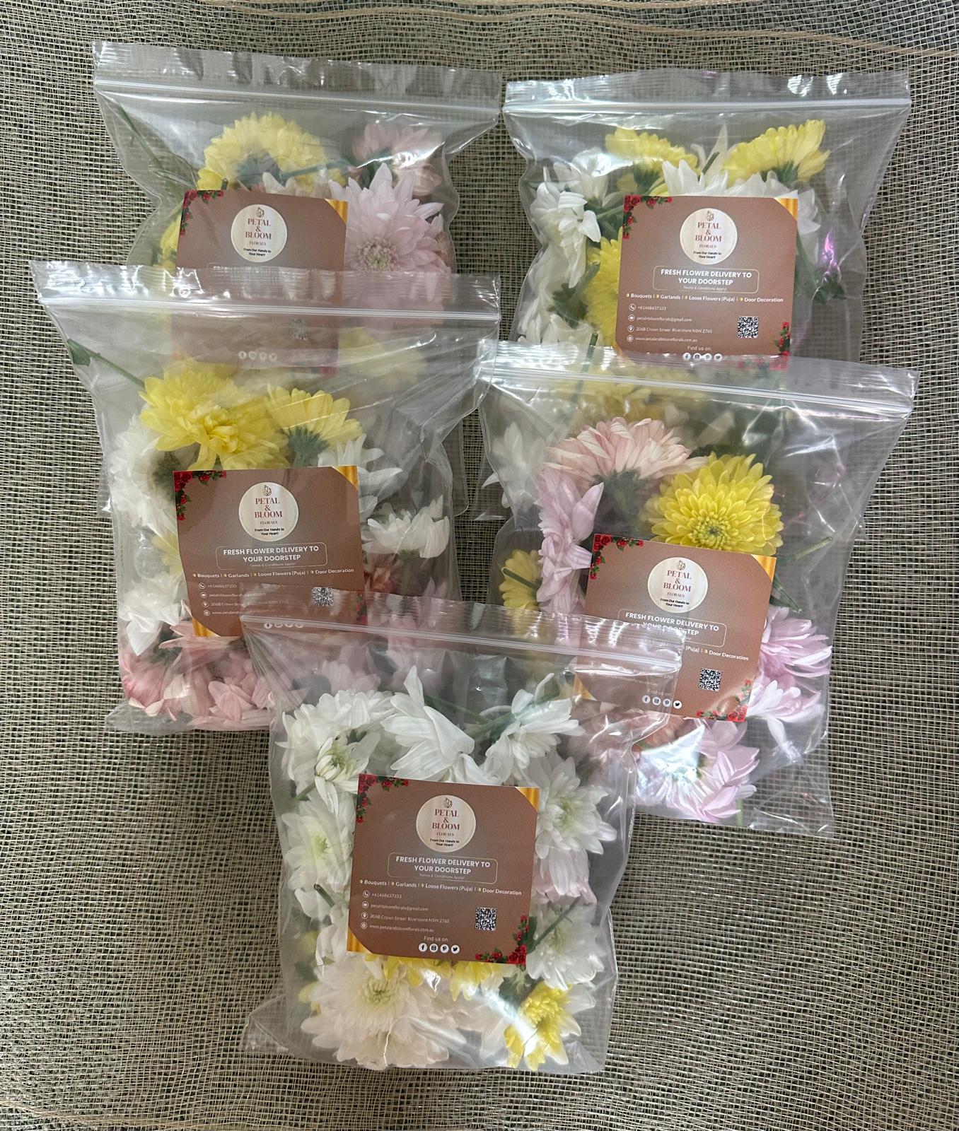 Assorted chrysanthemum ( Puja)