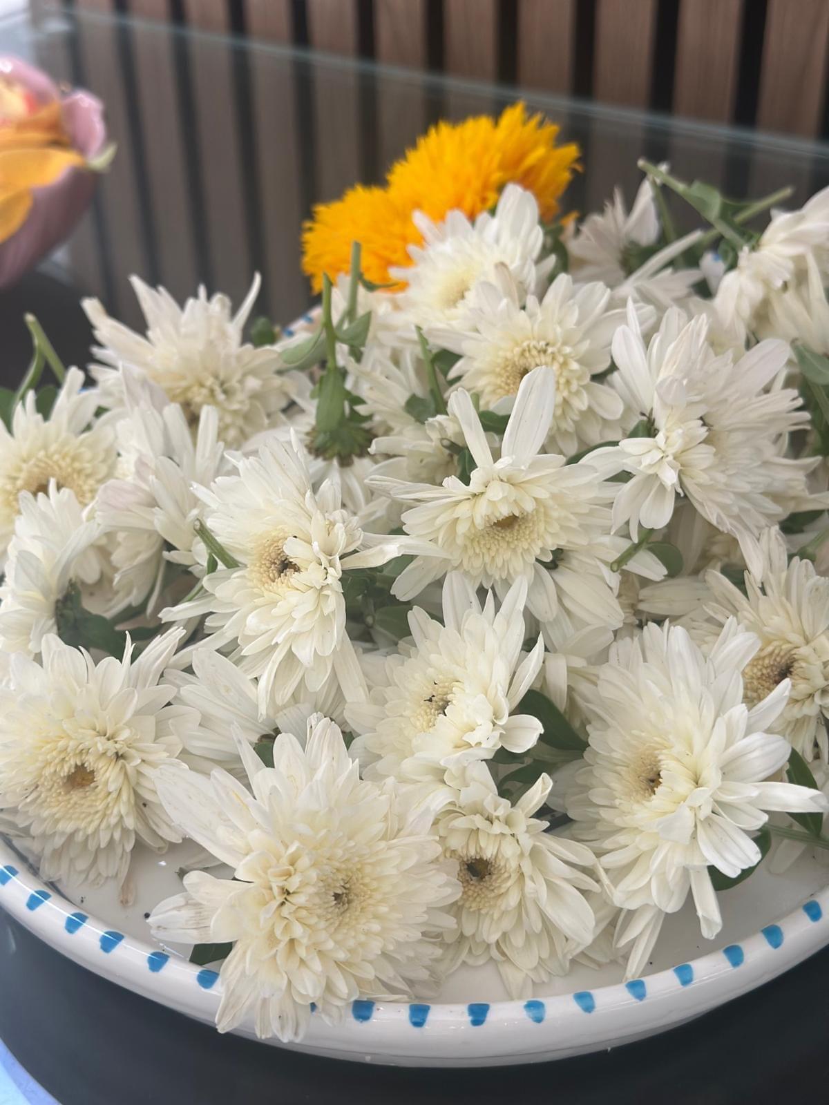 Assorted chrysanthemum ( Puja) - Image 4