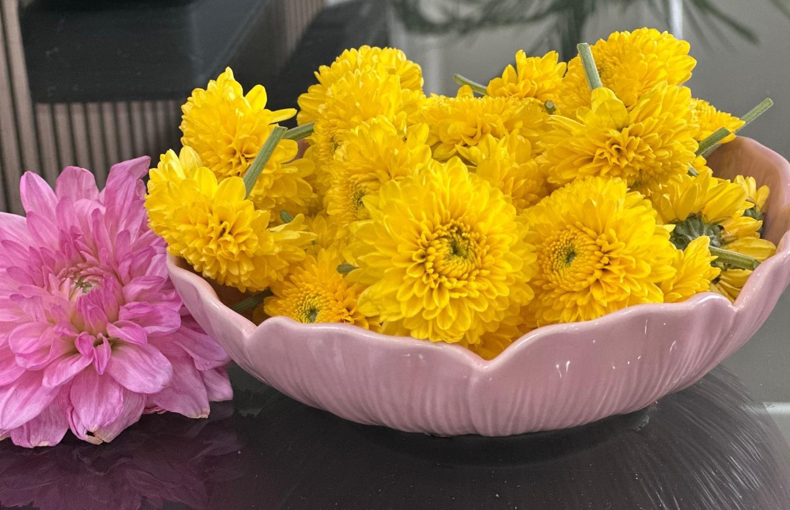 White Chrysanthemum ( Puja) - Image 4
