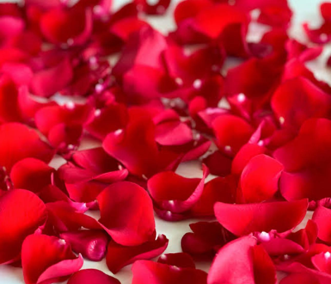 Flower Petals
