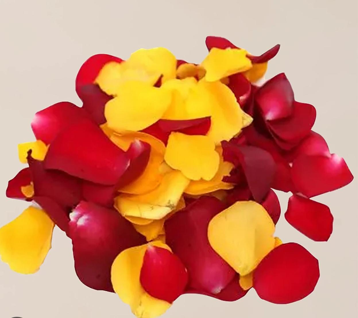 Flower Petals