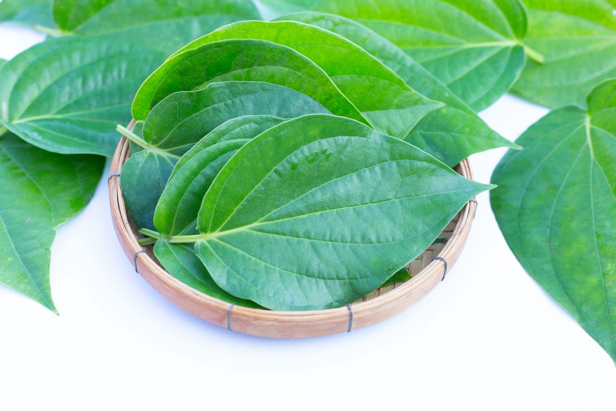 Betel Leaves - 8 to 10 Pieces