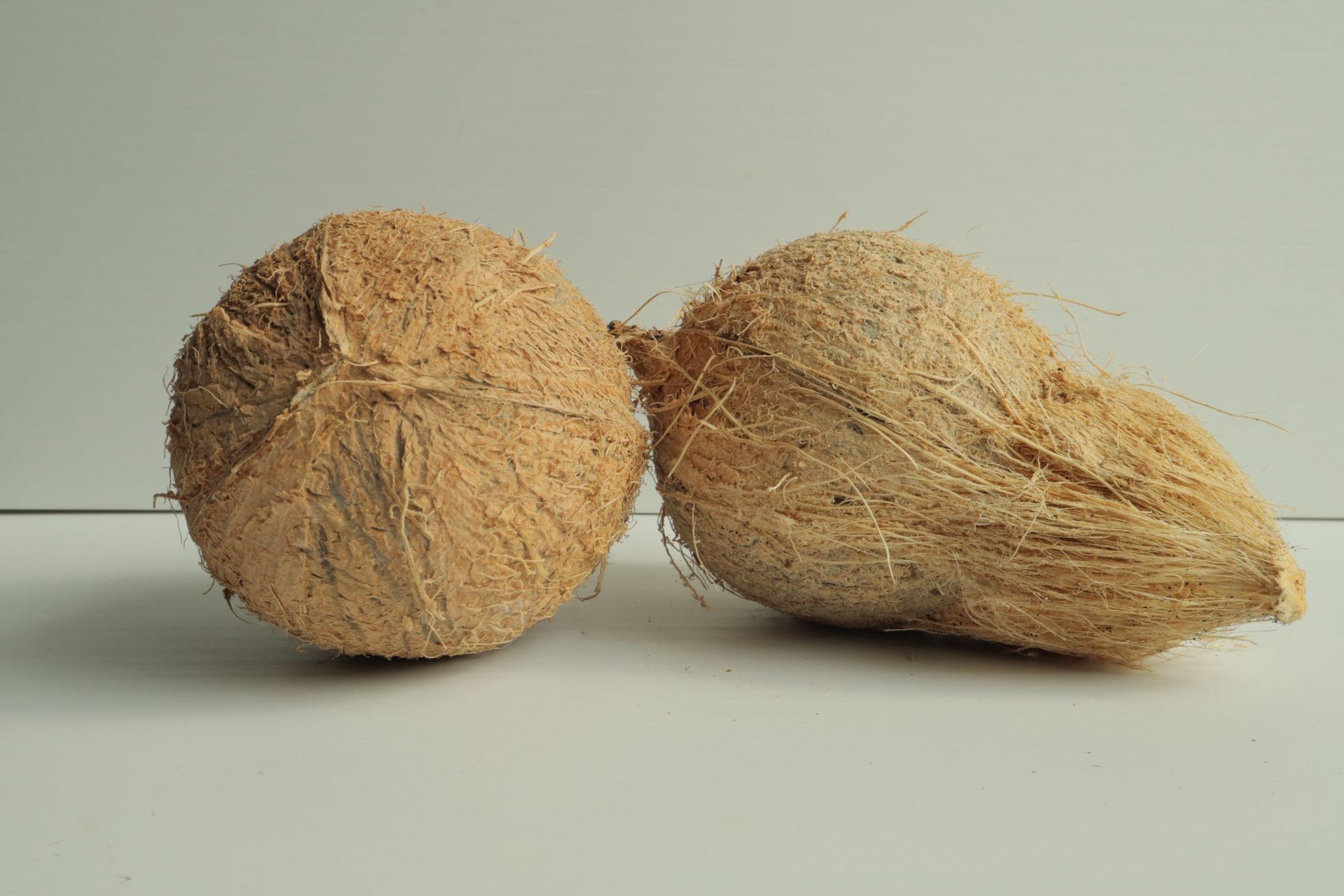 Puja Coconuts