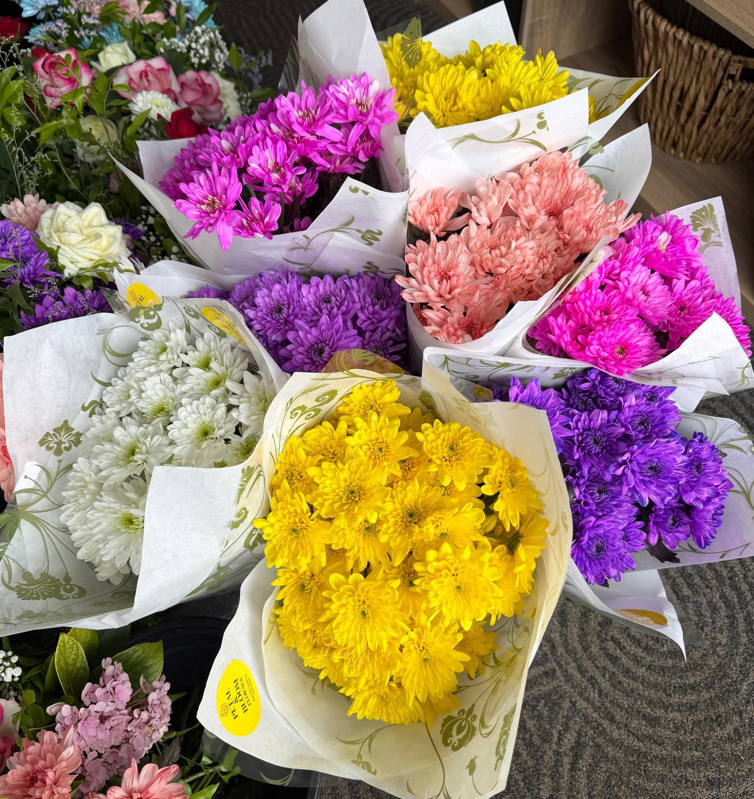Chrysanthemum Bunch (Tinted)