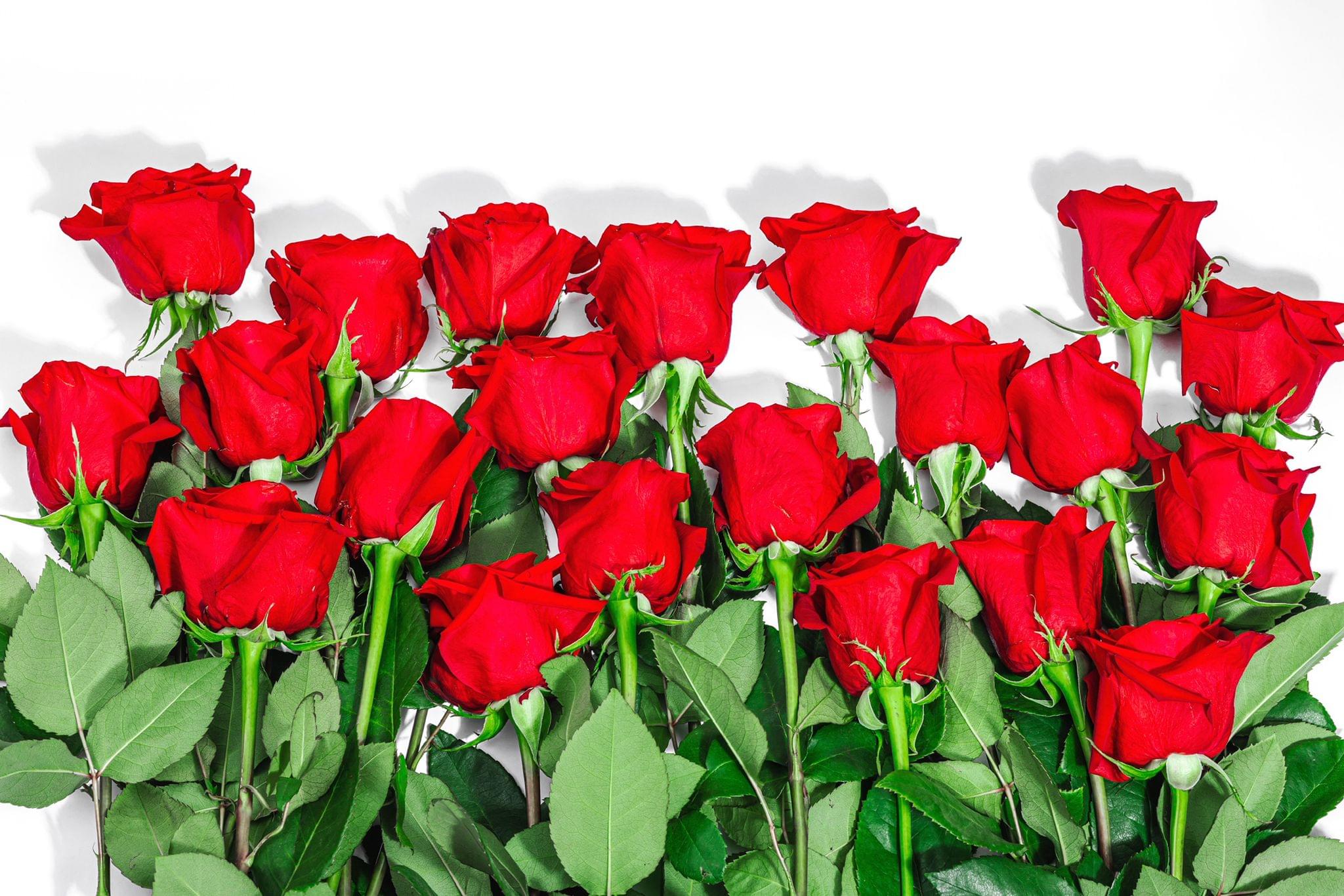 Rose Bunch