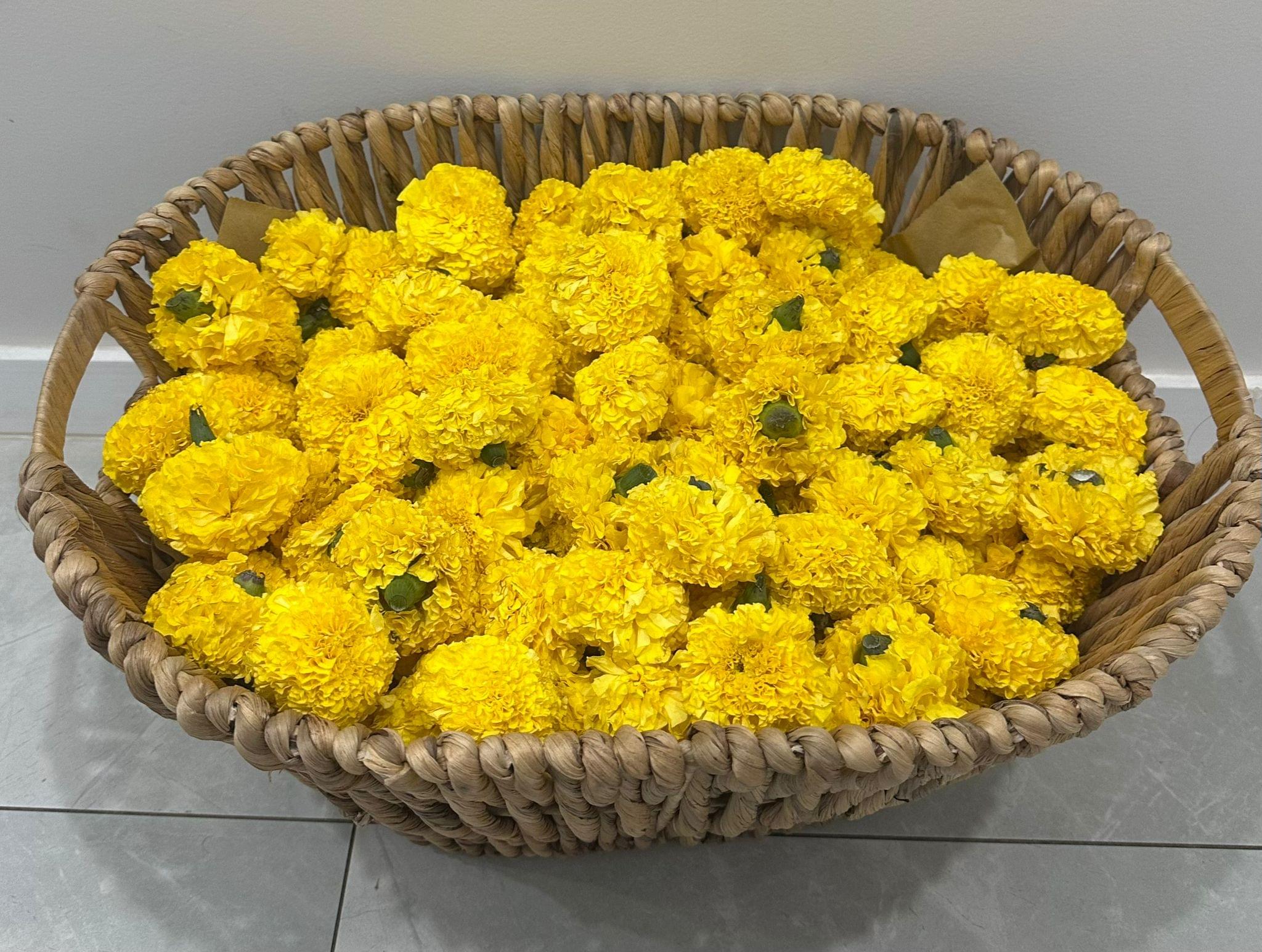 Yellow Marigold ( Puja)